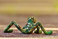 frog-abstract-mosaic-funny-animal-1032883.jpg