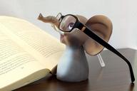 elephant-glasses-reading-glasses-1652007.jpg