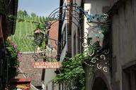 vineyard-alsace-teaches-564375.jpg