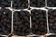 blackberries-eat-berries-vitamins-862803.jpg