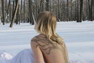 nude-forest-winter-winter-forest-962135.jpg