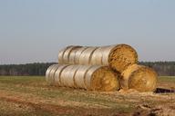 straw-bales-straw-hay-hay-bales-510350.jpg