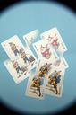 playing-cards-joker-gambling-665393.jpg