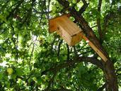 birdhouse-tree-apple-tree-711332.jpg