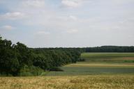 fields-nature-field-landscape-1473940.jpg