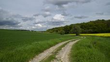 fields-agriculture-field-110284.jpg