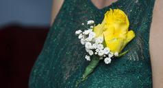 yellow-rose-flower-green-floral-930864.jpg