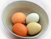 egg-brown-eggs-green-casual-653301.jpg