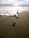 footprints-beach-philippines-389224.jpg