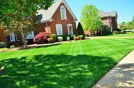 lawn-care-lawn-maintenance-643561.jpg