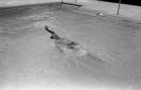 President_Ford_swimming_-_NARA_-_7141117.jpg