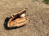 ball-glove-baseball-sport-game-742864.jpg