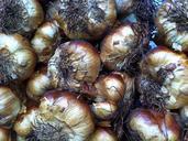 garlic-eat-food-sharp-tuber-smell-937536.jpg