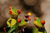 frogs-entertainment-party-funny-1033312.jpg