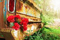 rust-floral-rustic-love-romantic-839796.jpg