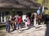 beer-garden-event-brewing-horses-200349.jpg