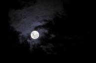 full-moon-sky-night-space-dark-787935.jpg