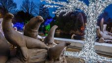 sea-lion-statues-christmas-lights-1090032.jpg