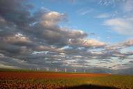 wind-power-wind-brides-sky-energy-270949.jpg