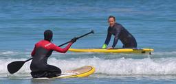 surf-man-sea-beach-surfboard-628869.jpg