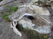 driftwood-the-nature-of-the-1156548.jpg