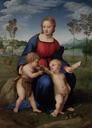 Raffaello_Sanzio_-_Madonna_del_Cardellino_-_Google_Art_Project.jpg