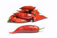 pepper-chili-finger-lady-seasoning-625626.jpg