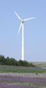 Wind power turbine.jpg