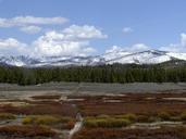 yellowstone-national-park-wyoming-52960.jpg