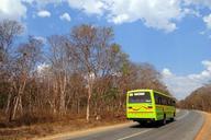 bus-public-transport-street-road-276136.jpg