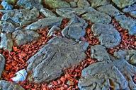 rock-stones-leaves-hdr-image-670408.jpg