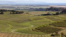 wine-mclaren-vale-australia-country-618093.jpg