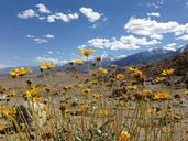 california-desert-sky-nature-1059218.jpg