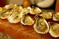 oysters-seafood-shells-kitchen-924001.jpg