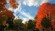 autumn-central-park-usa-tree-1046219.jpg