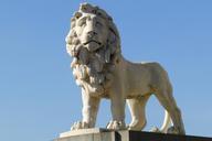 lion-statue-fig-architecture-340343.jpg