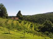 meadow-hills-austria-styria-552820.jpg