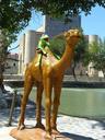 camel-fig-pond-water-storage-198851.jpg