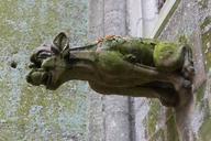 Gargoyle cathedral Bayeux.jpg