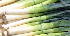 leek-market-farmers-local-market-1422556.jpg