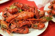 crayfish-animals-food-crawdads-214838.jpg