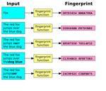 Fingerprint.svg