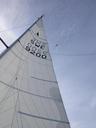 sail-mast-sky-bird-blue-564298.jpg