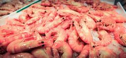 seafood-prawns-shrimps-gourmet-601571.jpg