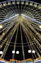 fun-fair-wheel-avignon-night-fun-548627.jpg