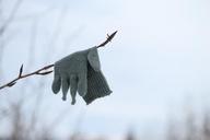 glove-lost-forgotten-snow-twig-686782.jpg