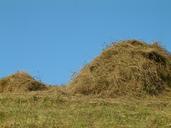 straw-grass-hay-field-agriculture-302436.jpg