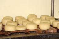 cheese-aging-dairy-food-aged-801183.jpg