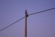 power-line-strommast-mast-landline-952478.jpg