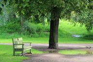 park-bench-park-rest-trees-finland-1354757.jpg